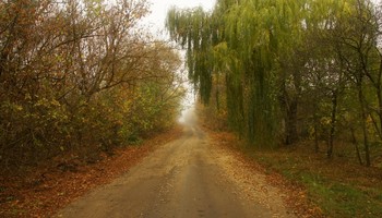 Расписание курсов на ноябрь 2020