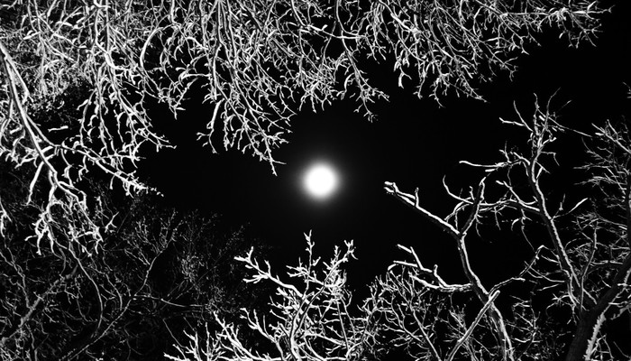 Расписание занятий на январь 2021